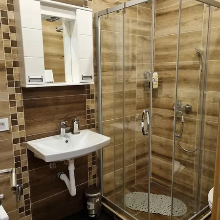 Апартаменты S54 Златибор