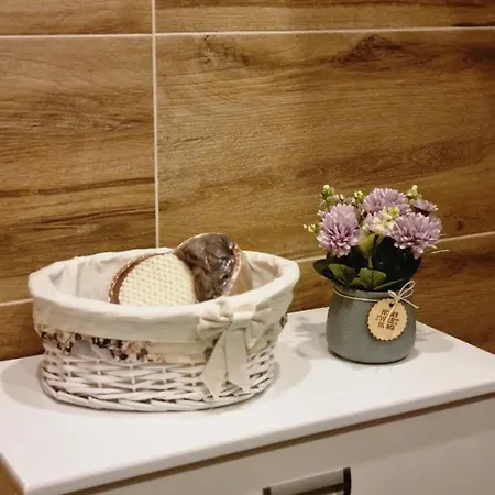 S54 Apartment Zlatibor