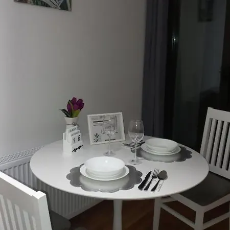 S54 * Златибор