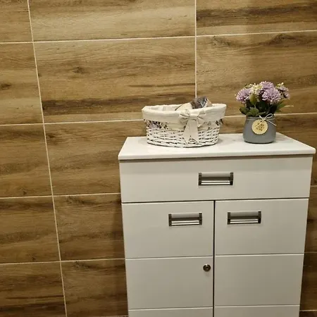 S54 Златибор